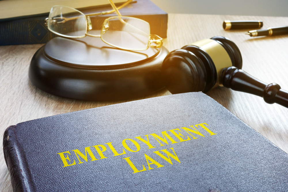 Labor and Employment Image
